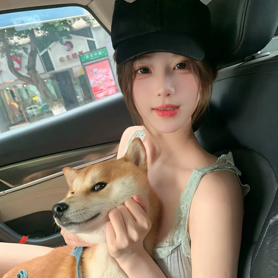 黑天鹅的伪装教科书