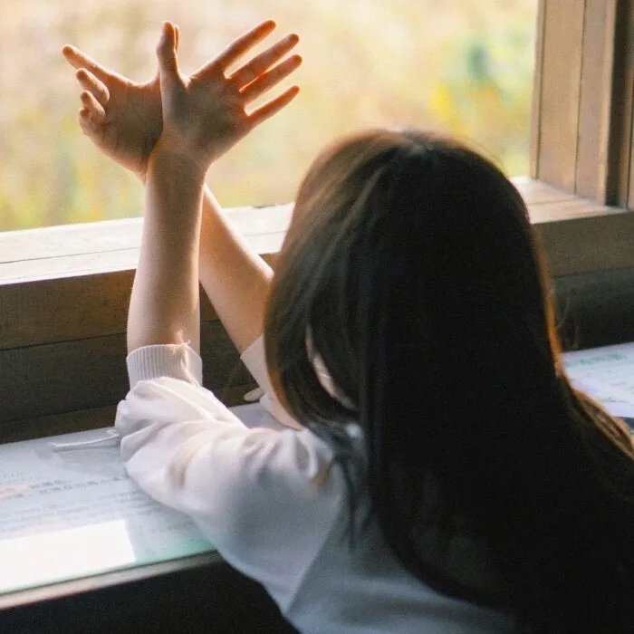 看不见的城市第二季